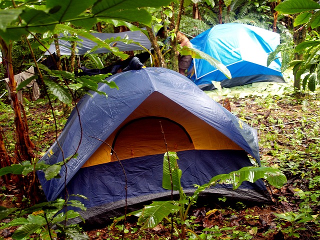 tents in the forest