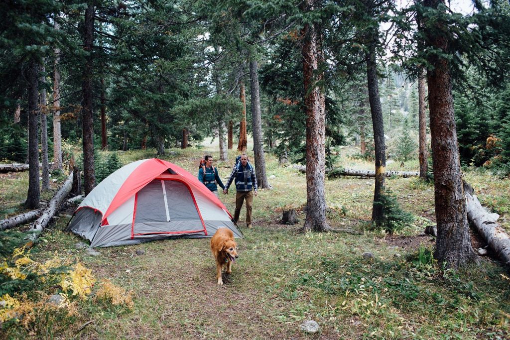 wenzel-pine-ridge-tent-in-wilderness