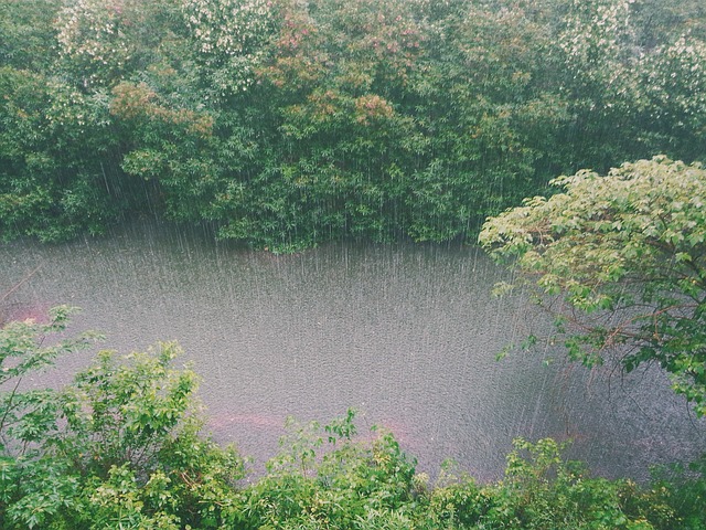 raining in creek