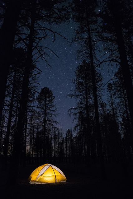 Camping and Stargazing